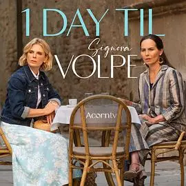 揭秘《狐狸女士第二季》：精彩冒险与情感深度碰撞