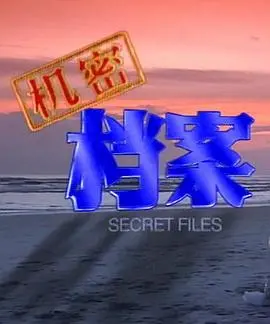 《机密档案》：迷雾重重的真相，挑战权力与道德的底线